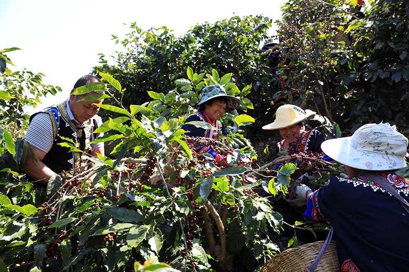 �������ڲ�ժ��������ƽ�z