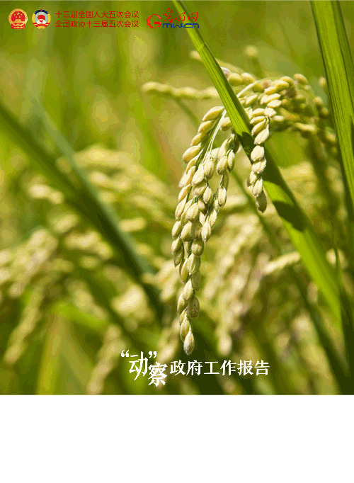 �����ӡ�������������桿2022���@ЩĿ�˴��ˊ^�M��