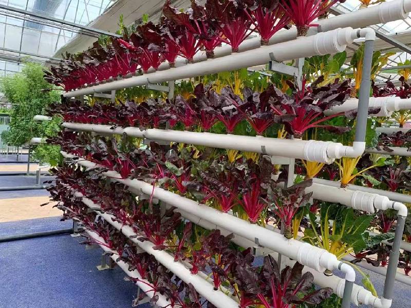 �����l��֪��Փحȫ���˴�������ϼ�����ֻ����l�����d