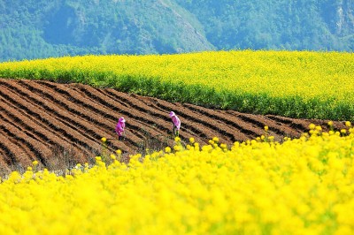 �������韣��l(xi��ng)�g�����