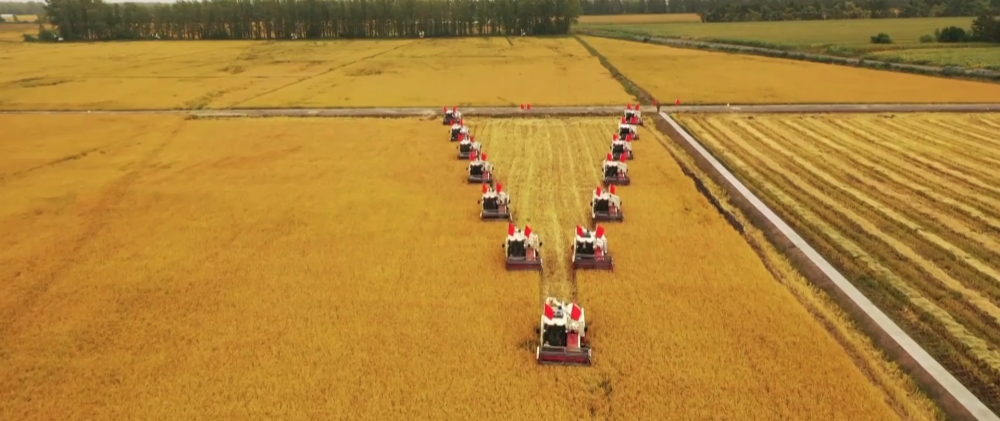 ΢ҕ�l������ġ����r(n��ng)��