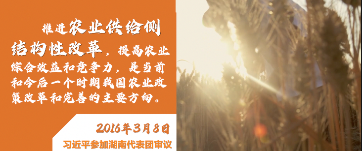 ΢ҕ�l������ġ����r(n��ng)��