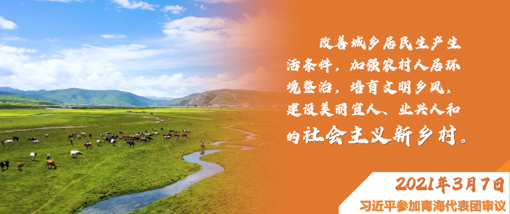 ΢ҕ�l������ġ����r(n��ng)��