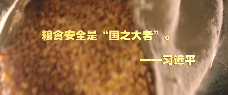 ΢ҕ�l������ġ����r(n��ng)��