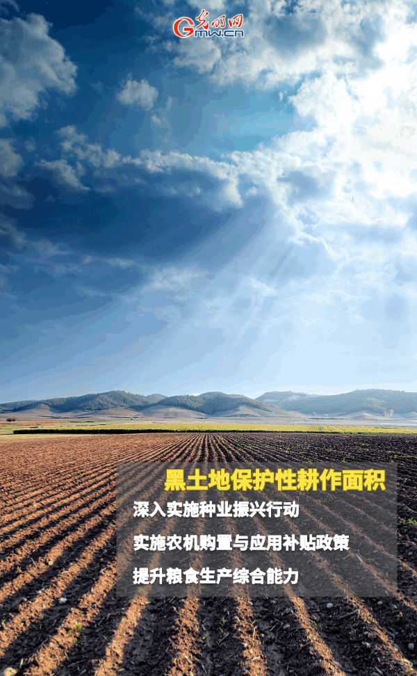 ���ӑB���󡿱���ȫ��Zʳ�S�գ��@Щ֧���������_����