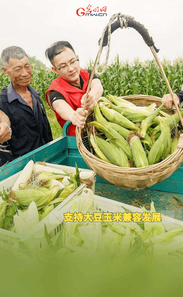 ���ӑB���󡿱���ȫ��Zʳ�S�գ��@Щ֧���������_����