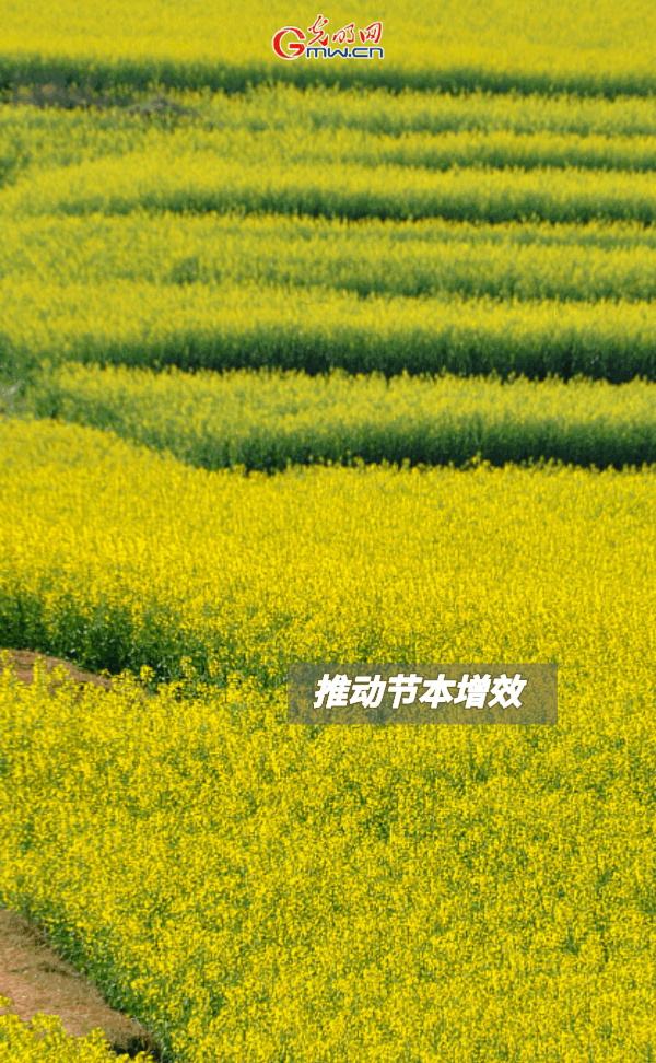 ���ӑB���󡿱���ȫ��Zʳ�S�գ��@Щ֧���������_����