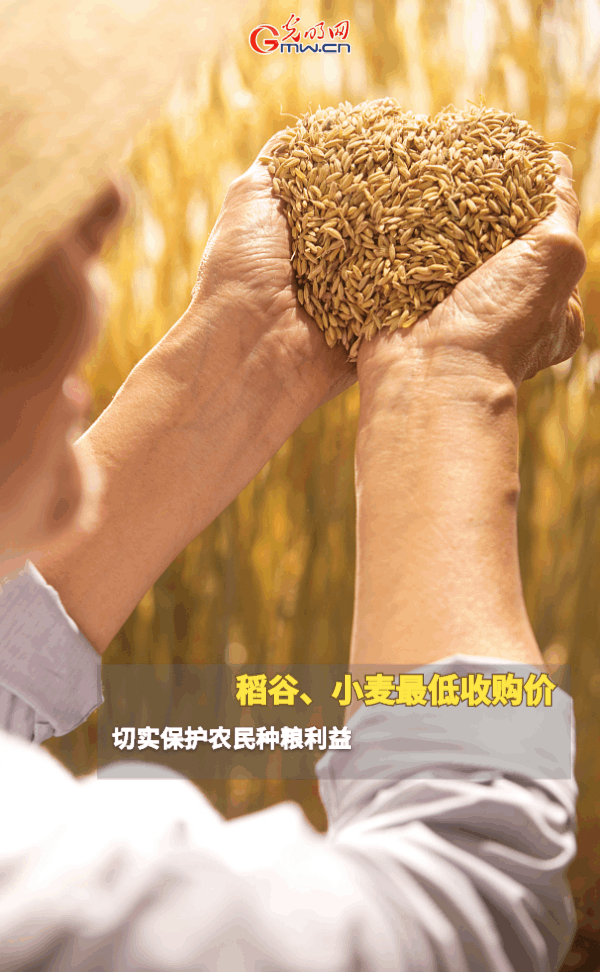 ���ӑB���󡿱���ȫ��Zʳ�S�����@Щ֧���������_�ˣ�