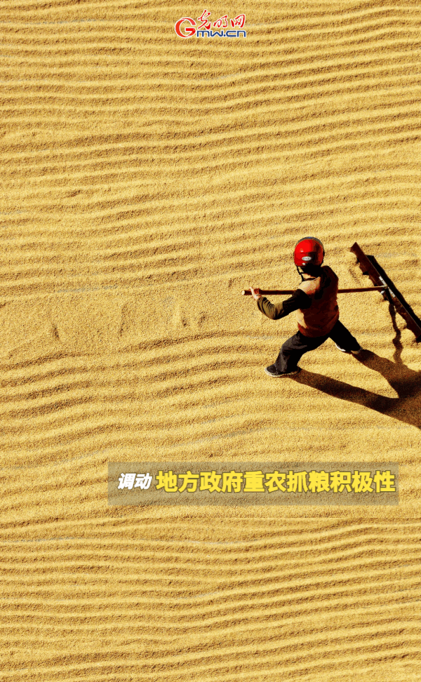 ���ӑB���󡿱���ȫ��Zʳ�S�����@Щ֧���������_����