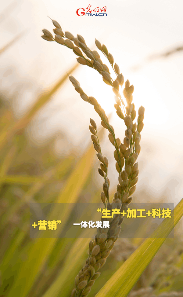 ���ӑB���󡿱���ȫ��Zʳ�S�����@Щ֧���������_����