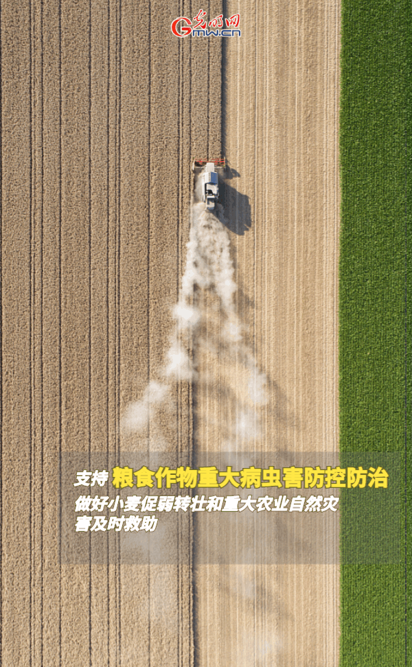 ���ӑB���󡿱���ȫ��Zʳ�S�����@Щ֧���������_����