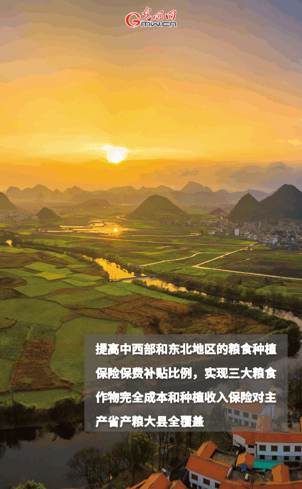 ���ӑB���󡿱���ȫ��Zʳ�S�գ��@Щ֧���������_����