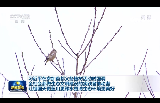 �x��(w��)ֲ��