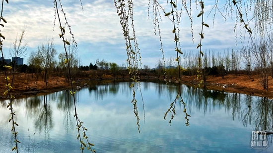 �����@��(n��i)�����䄂��������~�������_��ҕӛ�߳���Ĕz��