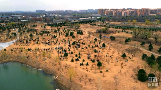 ��������x��(w��)ֲ��F(xi��n)���������_��ҕӛ�ߏ���w�i�Ĕz��