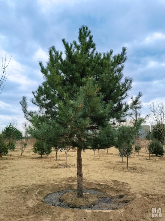 ���@�ǿ���ӛ����N�µ����ɡ������_��ҕӛ��ʯة�Ĕz��