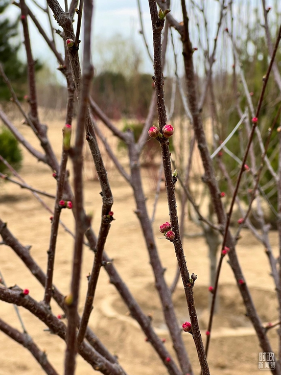  ���ذ����~÷�������_��ҕӛ�ߗ������Ĕz��