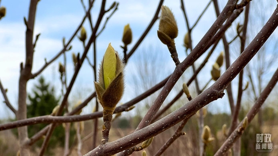 �����m�������_��ҕӛ�ߗ������Ĕz��