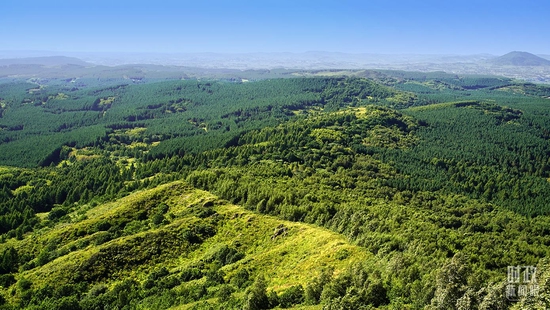 ���������ֈ��������_��Vӛ�������Ĕz��