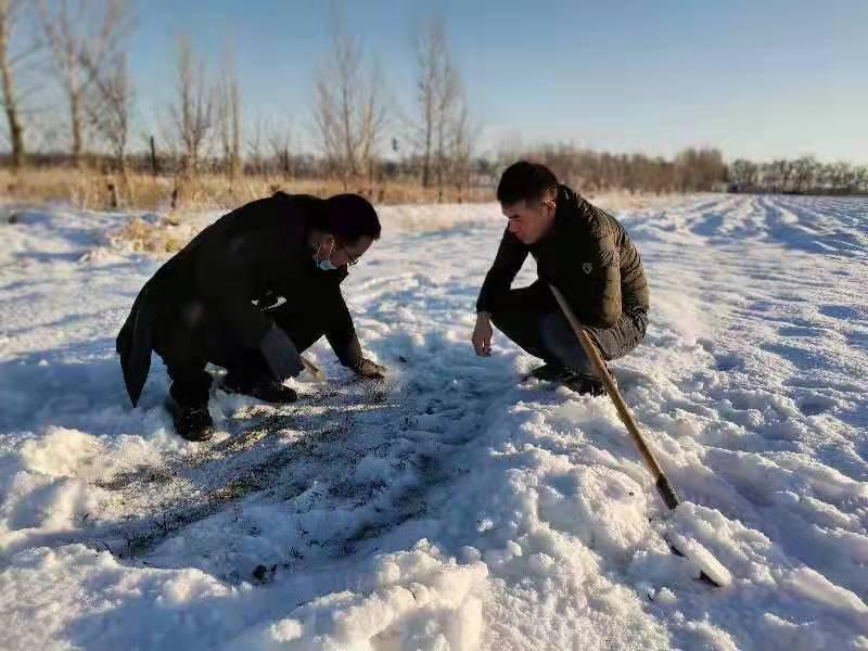 �D��Ŏ��r(n��ng)���󣩿ƌW(xu��)�о��������ˆT�ڶ�С����鿴����͉�����r��ƈ�R�����z��