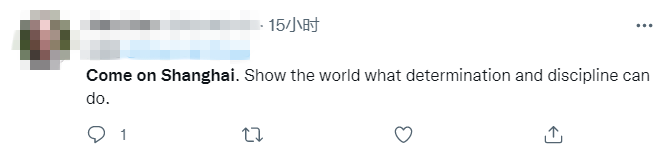 上海正全力與新冠病毒較量 海外網友:期待早日重回繁華 上海加油!_fororder_3