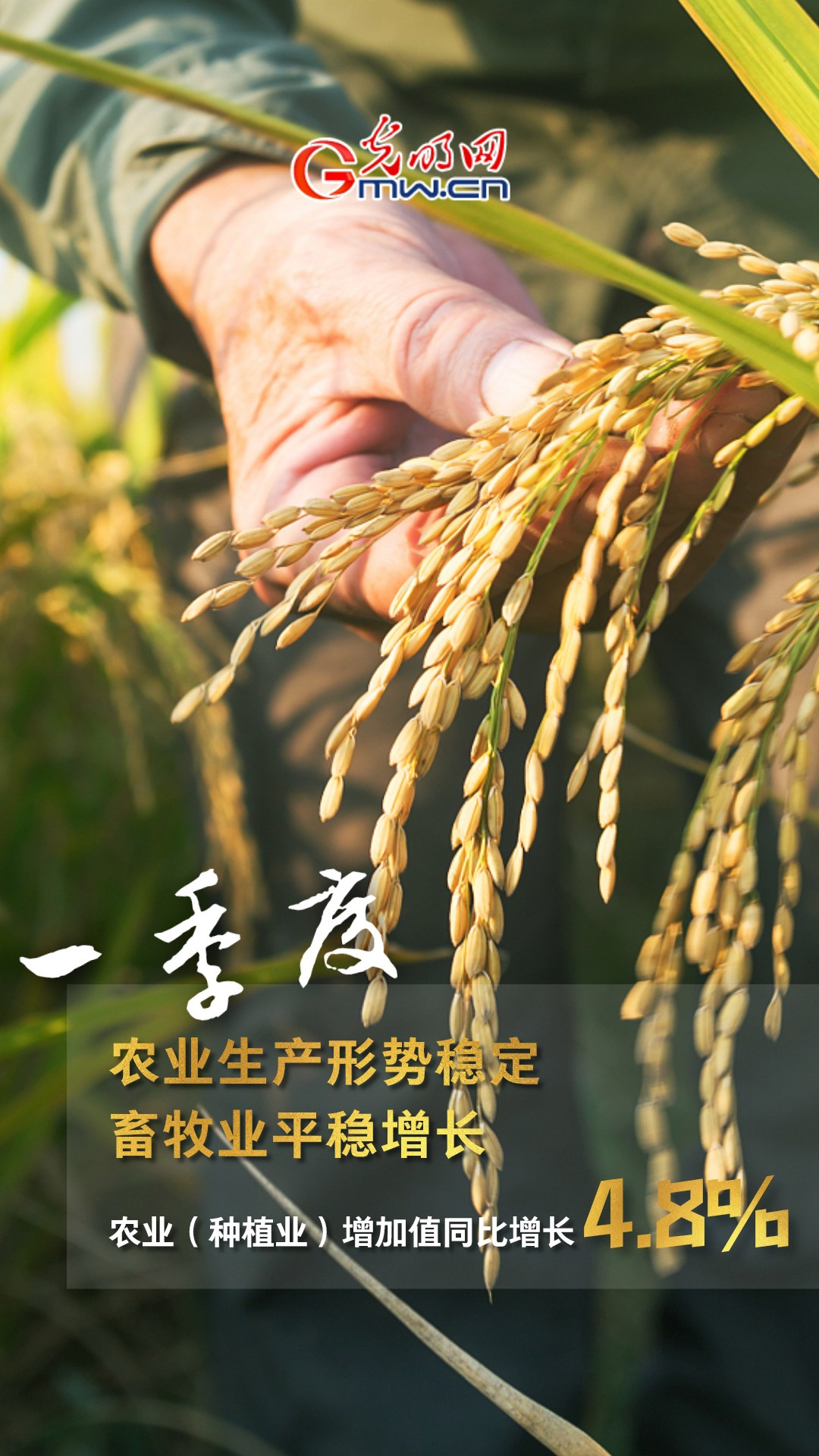 GDPͬ�����L4.8% һ���ȶ���ذ���(sh��)��(j��)����!