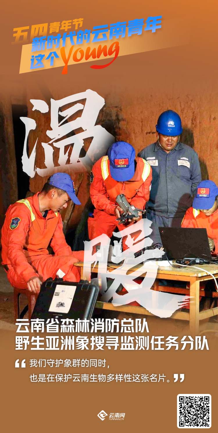 【海報】五四青年節特別策劃│新時代的云南青年這個young