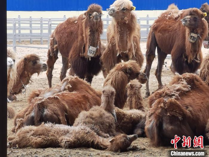 ��ʮ��@ÿһ���^�����㡿���ɹ�߅����h�¸�Ғ��·��450��ĸ��񄡰�桱�񱊱�С��