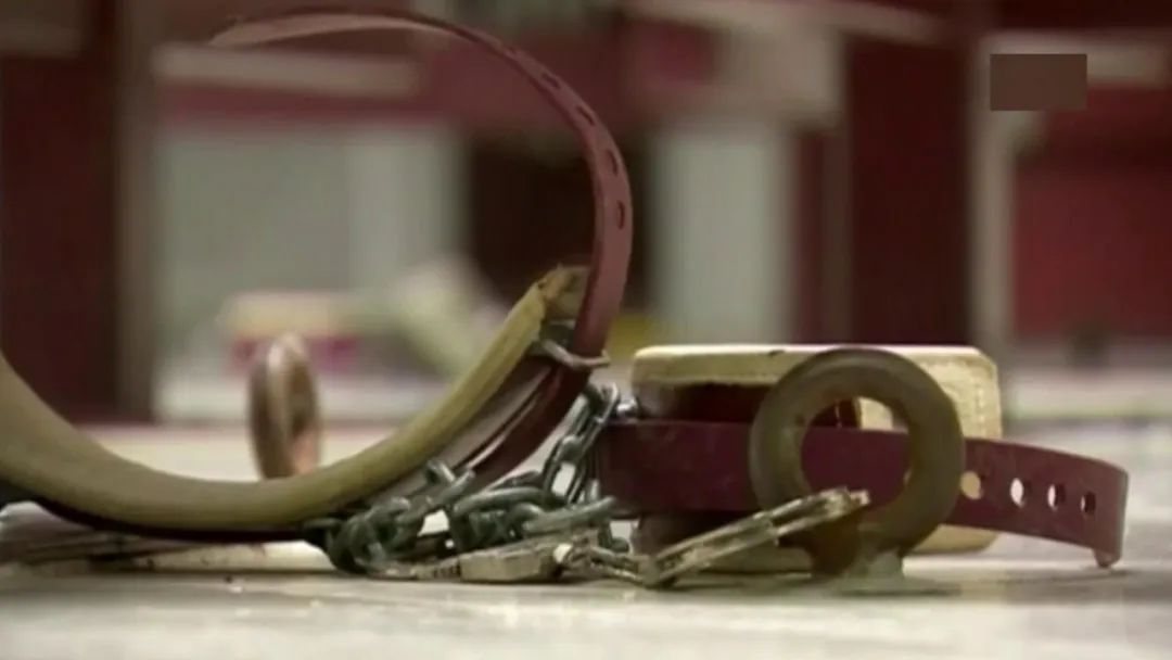 ���ȡ��J�,�o������14��!�ܺ��߽�¶�P����Ħ�O�z����