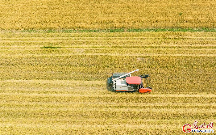 ���w���w�}���M�Dحϲ������ǧ���� �ֵ��ļZ�á��S����