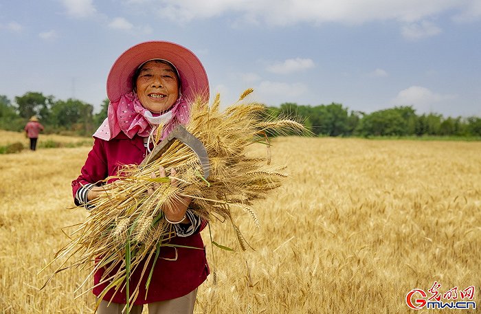 ���w���w�}���M�Dحϲ������ǧ���� �ֵ��ļZ�á��S����