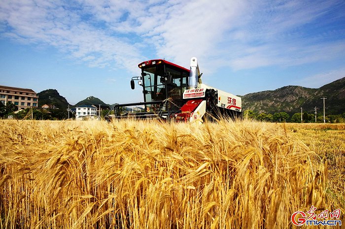 ���w���w�}���M�Dحϲ������ǧ���� �ֵ��ļZ�á��S����