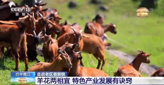 ���M�υ^����òح׷���tɫ���E ���ܰ���r����ò