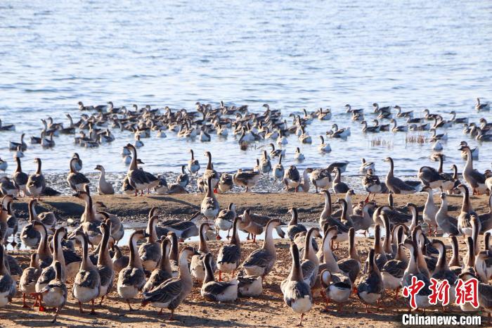 �������½����F(tu��n)��ɫ�B(y��ng)ֳ�I(y��)ǰ������