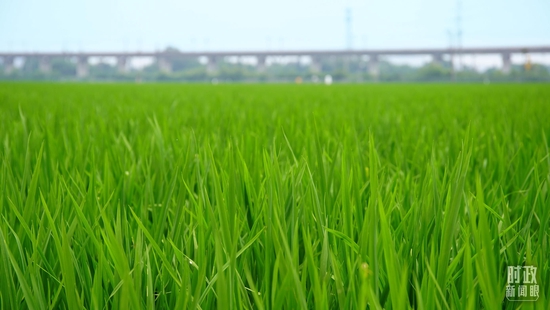  �����S��ĸߘ˜��r������_��ҕӛ������Ĕz��