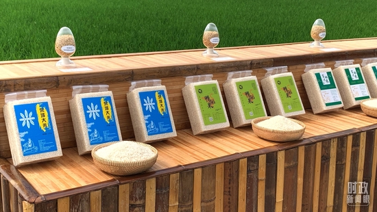  �����S����a�ĸ���׼��䵾�N�������_��ҕӛ���R���Ĕz��