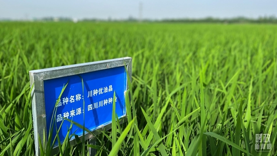  �����S��ȵ�ԇ�������_��ҕӛ���ϱ��Ĕz��