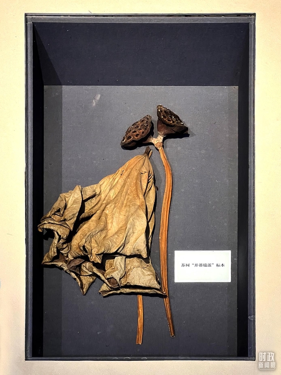 �����K��������ֵ�ͬ�ĵġ�������ɏ���������_��ҕӛ�ߗ������Ĕz��