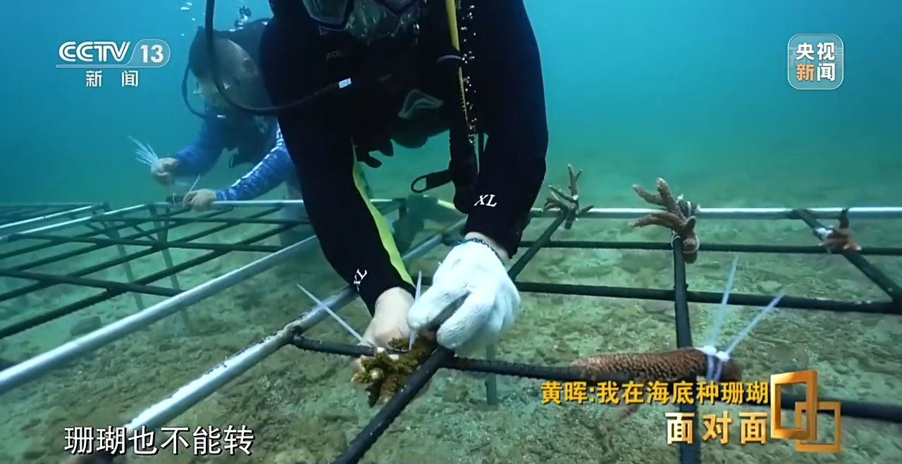 �挦��ح��ɺ���������S�����N��һƬ������ɭ�֡�