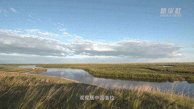 ������߅����������¡�ϵ��΢�o(j��)�Ƭ�ڶ��������l(w��i)�ڱ����ֺ���