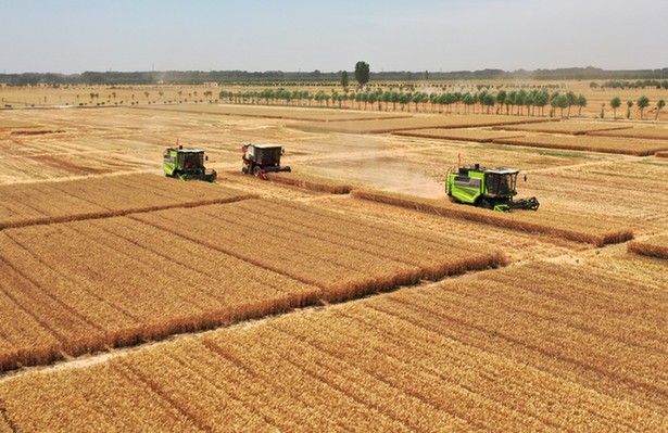 �r���Ո����rƽ���£��Ї��Zʳ���ŏ������