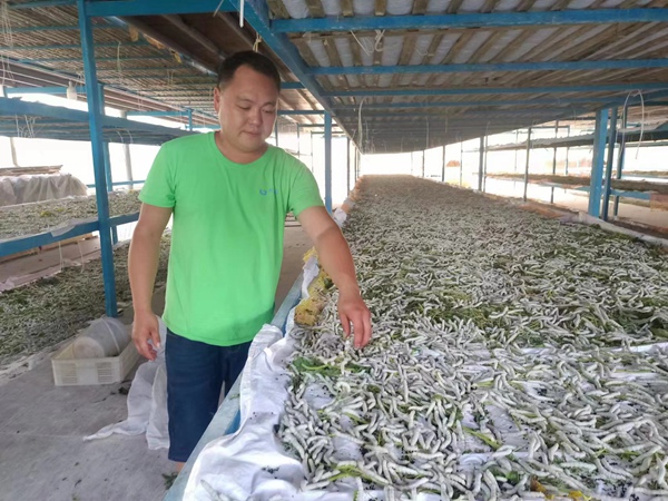 ���߿��������Q����ѩɏ�z