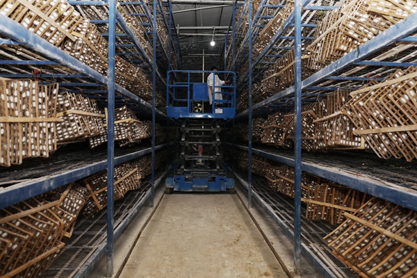 �����ˆT���Q�����Q���а�悮a�I�k���D