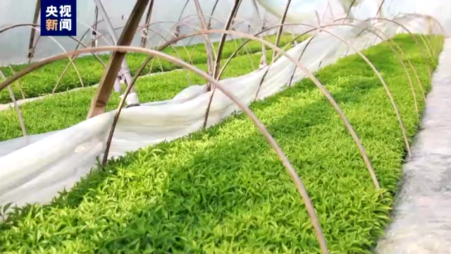 ���r�����ˮ������ش������a���¡������I��