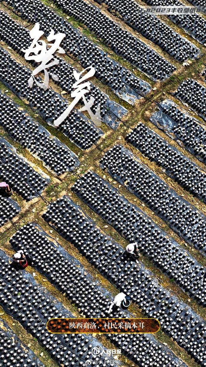 ����S�մ�أ������˱ڼ�