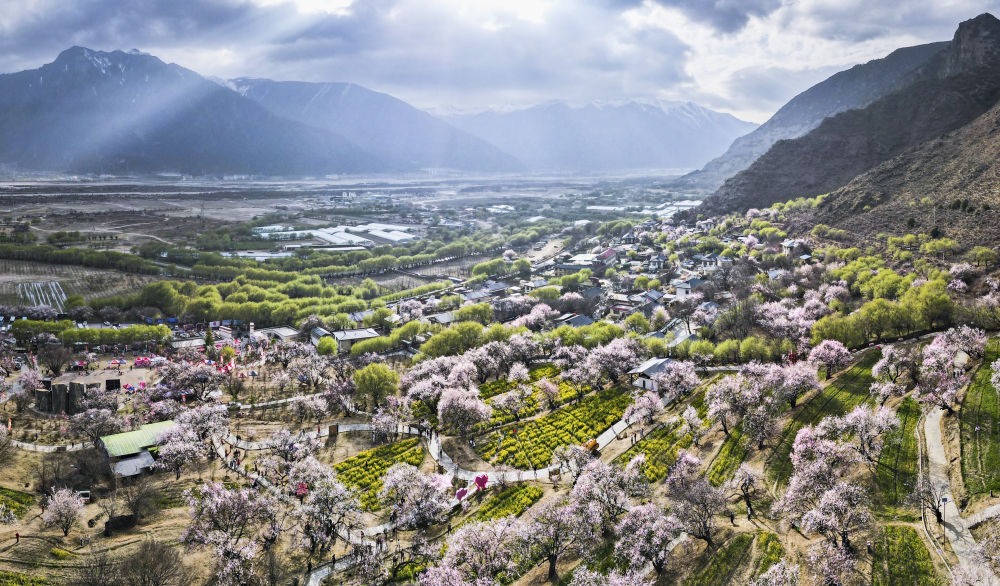 �������һ����o�˙C��Ƭ����������o�����ع�·�����Q�����ء��һ���һ�塱���DƬ��Դ ���A��