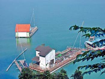 ����̶���ݽ������������������^��ˮ���������ɘO�����_���DƬ��Դ���_�����Ї��r��