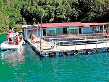 ����̶���ݽ����������ӣ������^��ˮ���������ɘO�����_���DƬ��Դ���_�����Ї��r��