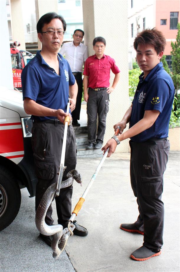 �����ˆTʹ�M���N�������������1�l�L(zh��ng)��1�����R����