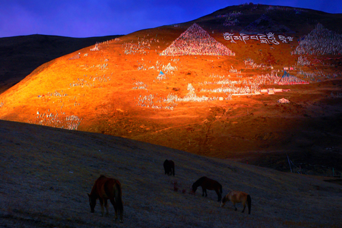 ���|�ղ���Ʒ ���ڲ� �\�C���A